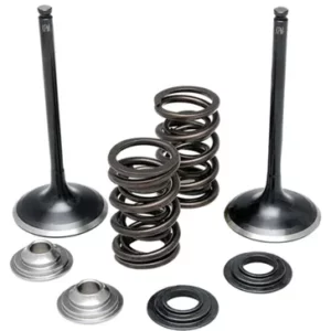 372-60-60850. KIBBLEWHITE Inlet Valve Kit - LT-R450 - All Models