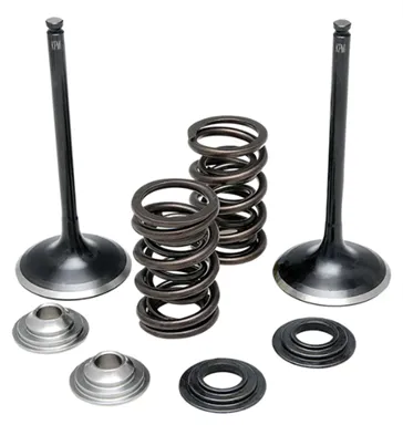 372-60-60850. KIBBLEWHITE Inlet Valve Kit - LT-R450 - All Models