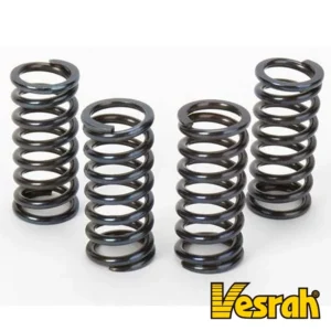 359-SK-401#1.jpg. VESRAH Clutch Springs - KX250/KLR650
