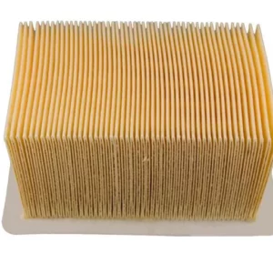 GetImageNoResize (39). CHAMPION Air Filter CAF6911