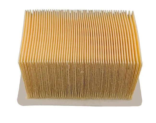 GetImageNoResize (39). CHAMPION Air Filter CAF6911