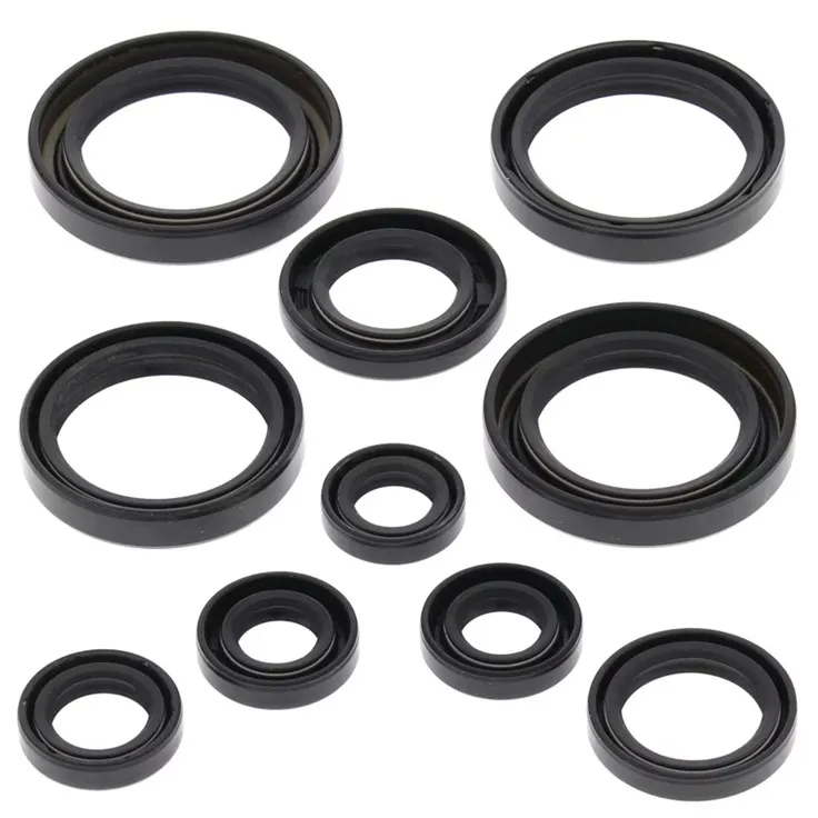 276-ZKA2137. BWX Engine Oil Seal Kit - TRX450R '04-'05