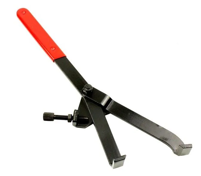 clutch (19). MSD Clutch Holding Tool