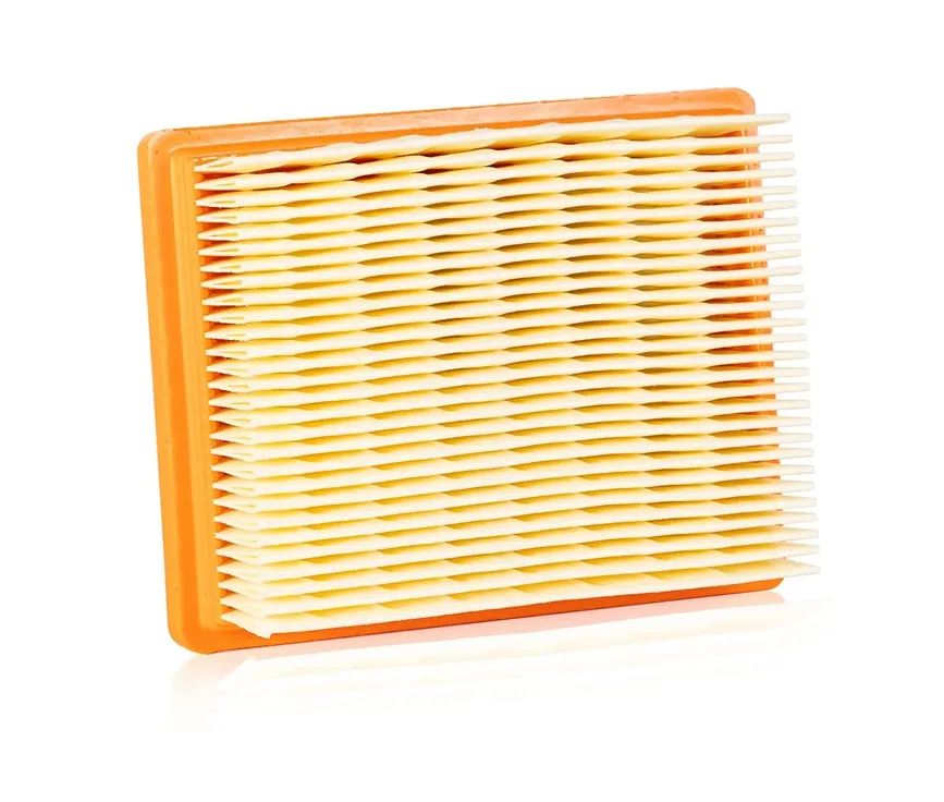 227-caf5509. Champion Air Filter CAF5509