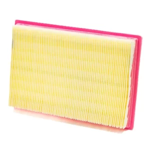 227-caf9019. Champion Air Filter CAF9019