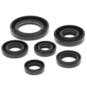 276-ZKA2146. BWX Engine Oil Seal Kit - TRX300X/EX