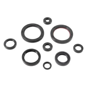 276-ZKM2989. BWX Engine Oil Seal Kit - CRF450R/RX