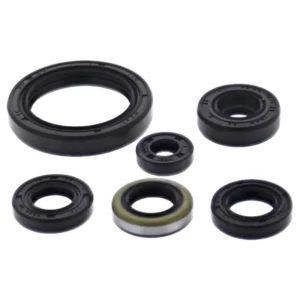 276-ZKM4379. BWX Engine Oil Seal Kit - KX450F '19-'24