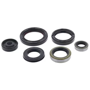 276-ZKM5295. BWX Engine Oil Seal Kit - SX/TC/MC85