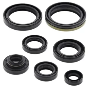 276-ZKM7124. BWX Engine Oil Seal Kit - RM125 '92-'97