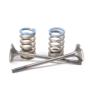 valve-spring. Wössner Intake Valve Kit - KX250F '07-'08