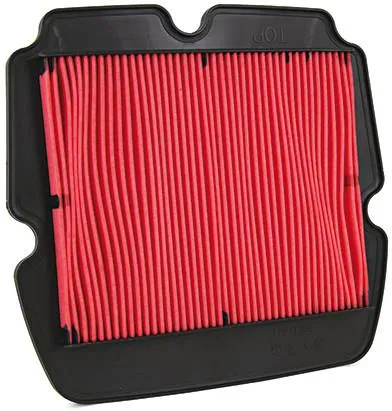 227-caf0921. Champion Air Filter CAF0921