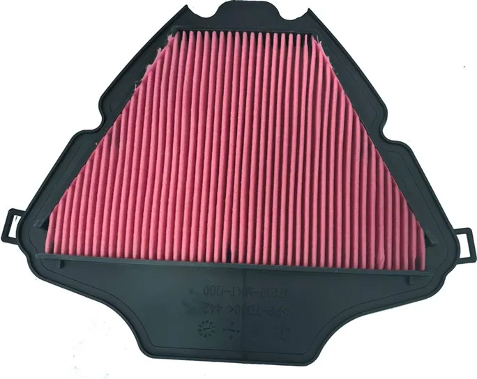 227-caf0717. CHAMPION Air Filter CAF0717