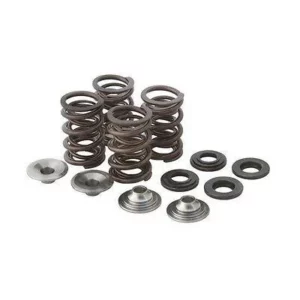 82200. KIBBLEWHITE Complete Eco Valve Spring Kit - POLARIS ATV/UTV