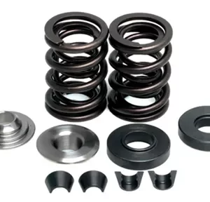 8000. KIBBLEWHITE Complete Valve Spring Kit - YFM350R RAPTOR/GRIZZLY/WARRIOR/WOLVERING/BIG BEAR ATV