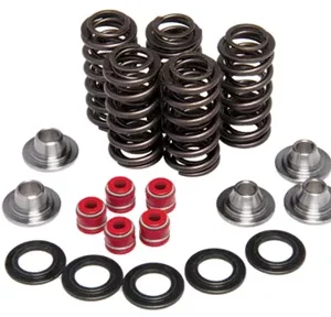 8220. KIBBLEWHITE Complete Eco Valve Spring Kit - YZF/WRF