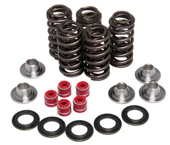 8220. KIBBLEWHITE Complete Eco Valve Spring Kit - YZF/WRF