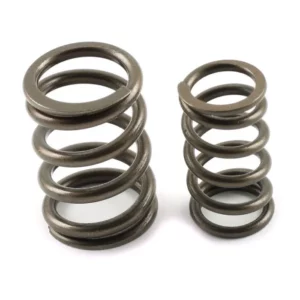 valve 2. KIBBLEWHITE Inlet Valve Springs - KTM (2 Pieces)