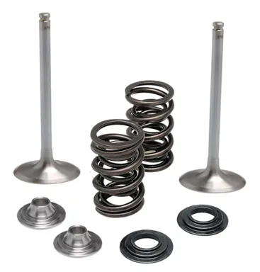 40350. KIBBLEWHITE Stainless Inlet Valve Kit-Inc Valves