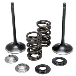 6100. KIBBLEWHITE Stainless Inlet Valve Kit-Inc Valves