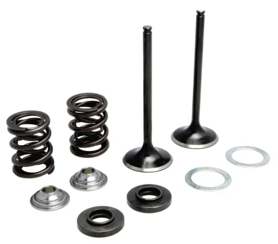 96070. KIBBLEWHITE Stainless Inlet Valve Kit-Inc Valves