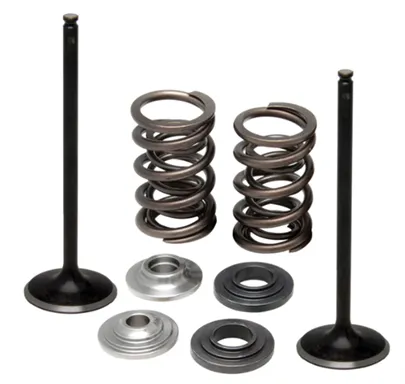 96130. KIBBLEWHITE Stainless Inlet Valve Kit-Inc Valves
