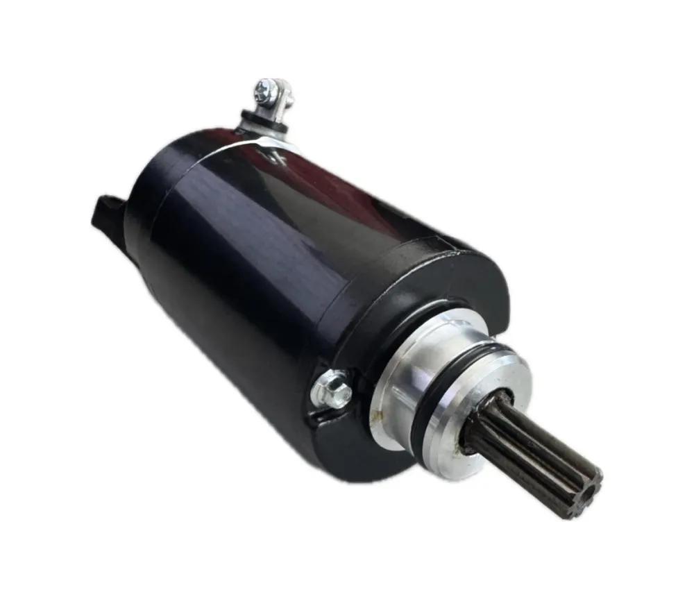 getimagenoresize (1). MSD Starter Motor - Tiger 800 18-20