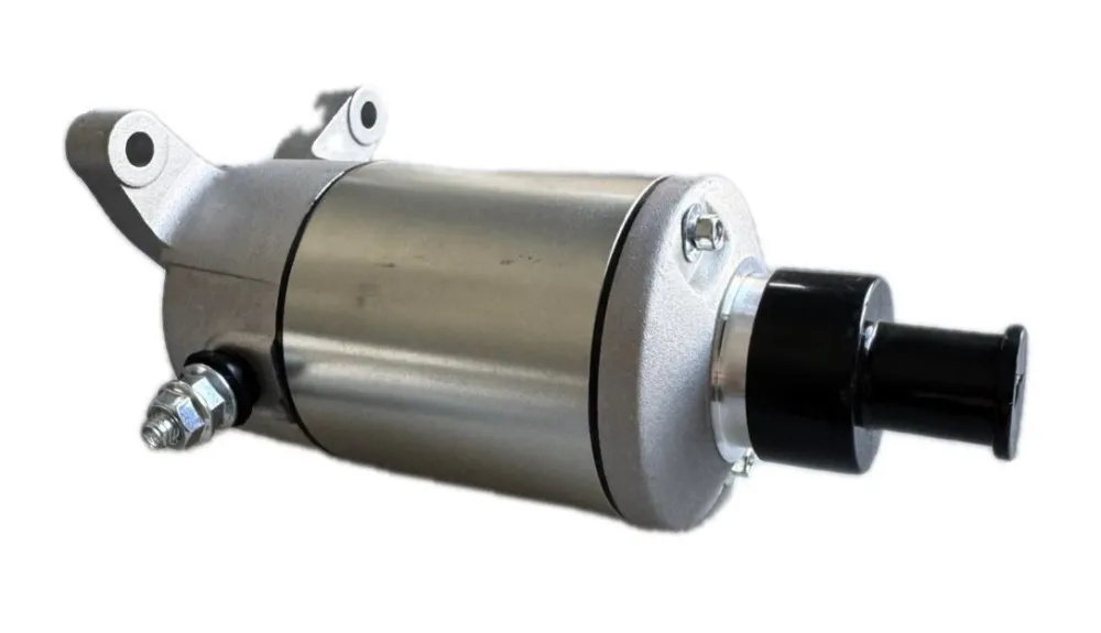 getimagenoresize (58). MSD Starter Motor - LT-F160/LT-F230/LT-Z250