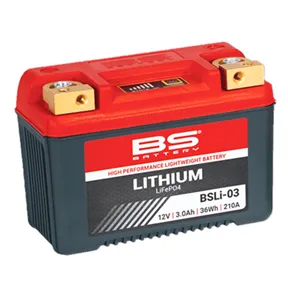 getimagenoresize (67). BS BSLI-03 Lithium Battery (6 MONTH WARRANTY)