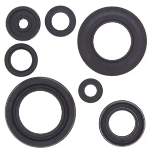 276-ZKA8002. BWX Engine Oil Seal Kit - Yamaha 350