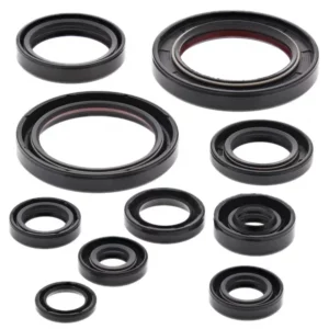 276-ZKM2248. BWX Engine Oil Seal Kit - CRF250R/CRF250X