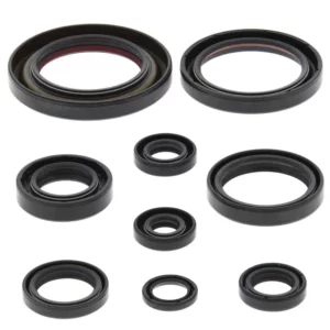 276-ZKA2171. BWX Engine Oil Seal Kit - TRX450R/ER