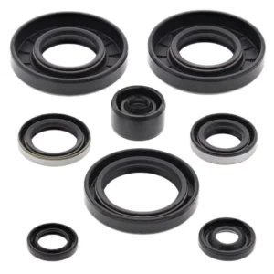 276-ZKM4135. BWX Engine Oil Seal Kit - KX65/RM65