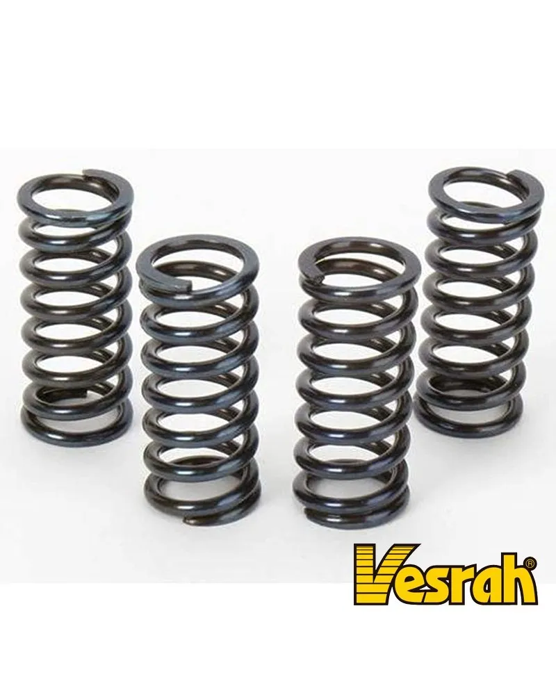 359-SK-326 #2. VESRAH Clutch Springs - KX250/KLR650